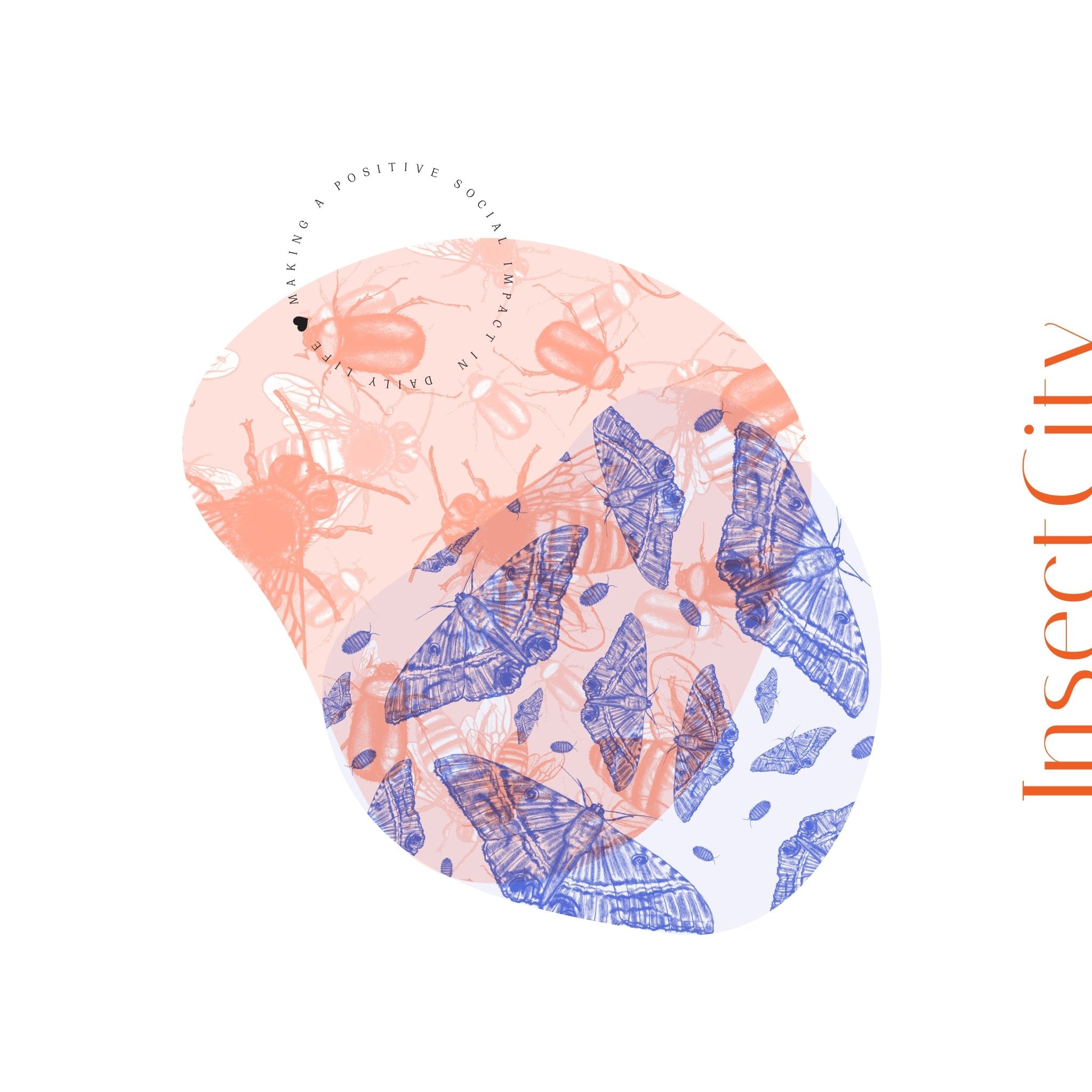 𓆣 InsectCity 𓆦 - C R B A ® s t u d i o